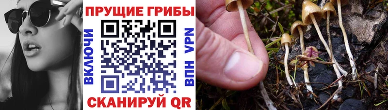 Галлюциногенные грибы Cubensis  МЕГА ONION  Дзержинский  купить наркоту 